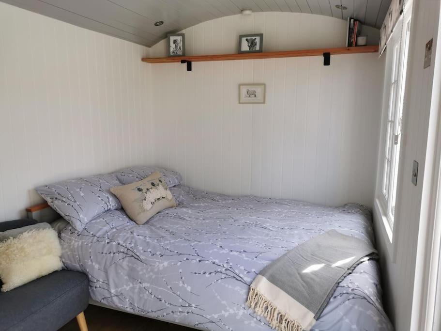 Elvan Farm Shepherd'S Hut Villa Exeter Exterior foto
