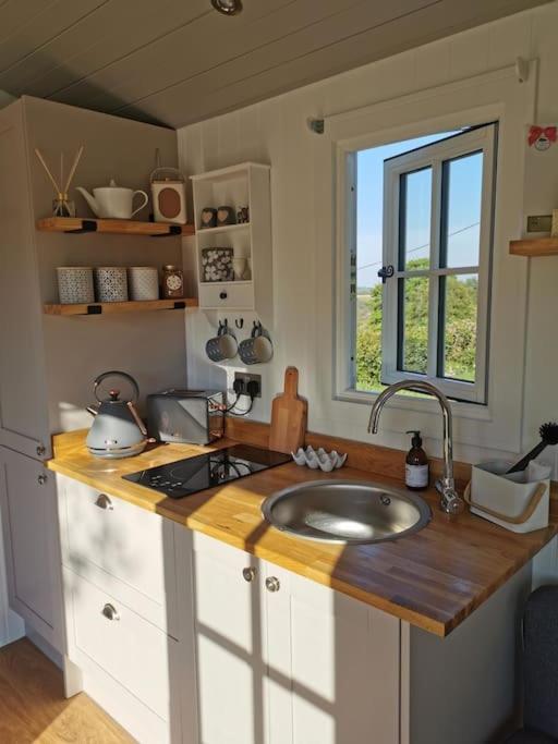 Elvan Farm Shepherd'S Hut Villa Exeter Exterior foto